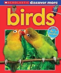 Cover image for Birds