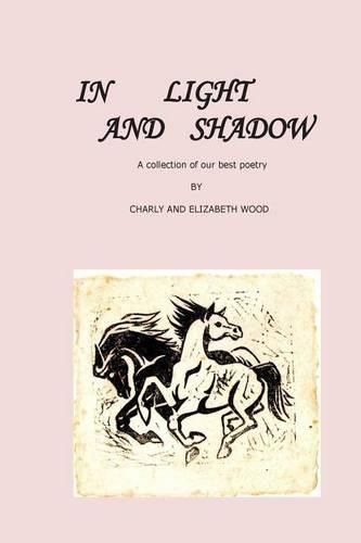 Cover image for In Light and Shadow: a selection of our best poems