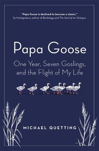 Cover image for Papa Goose