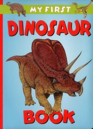 Cover image for My First Dinosaur Book