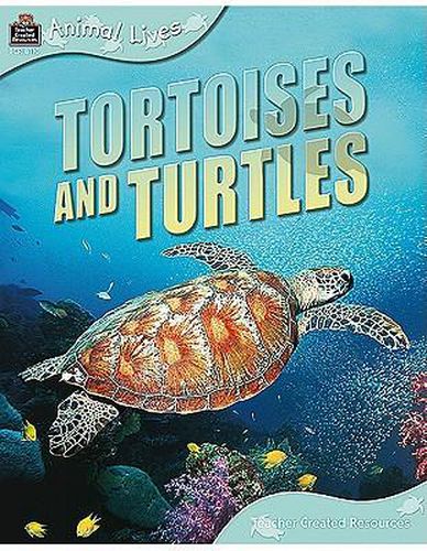 Cover image for Animal Lives: Tortoises and Turtles