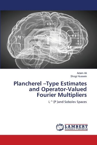 Cover image for Plancherel -Type Estimates and Operator-Valued Fourier Multipliers