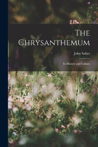 The Chrysanthemum