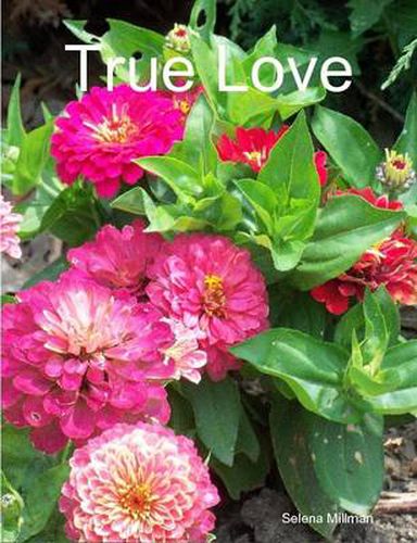 Cover image for True Love