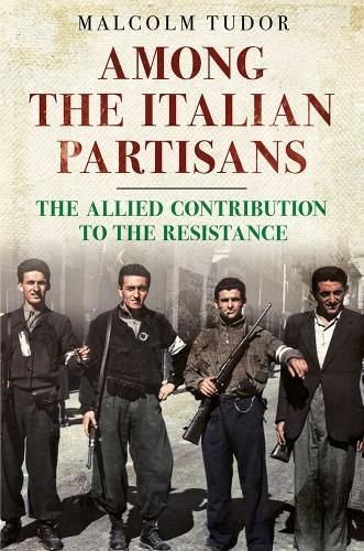 Cover image for Among the Italian Partisans: The Allied Contribution to the Resistance