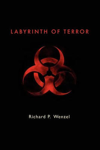 Cover image for Labyrinth of Terror