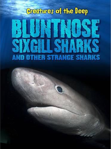 Cover image for Bluntnose Sixgill Sharks and Other Strange Sharks (Creatures of the Deep)