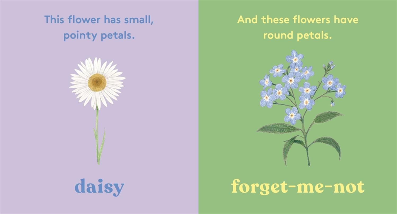Look! A Flower!