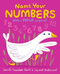 Cover image for Name Your Numbers