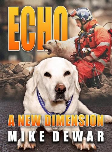 Cover image for Echo: A New Dimension