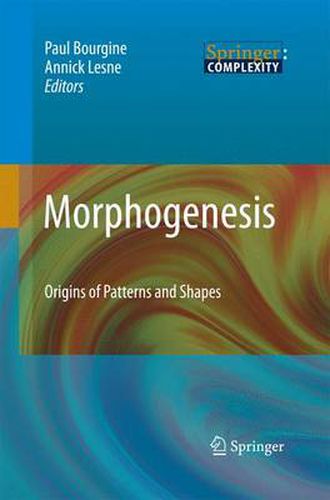 Cover image for Morphogenesis: Origins of Patterns and Shapes