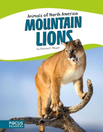 Cover image for Animals of North America: Mountain Lions