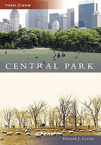 Cover image for Central Park