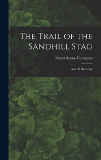 Cover image for The Trail of the Sandhill Stag