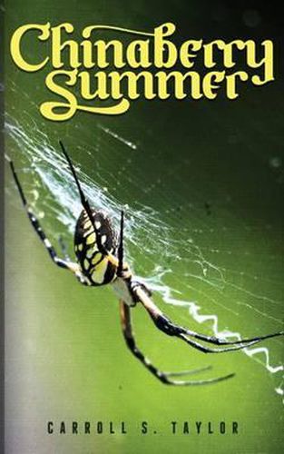 Cover image for Chinaberry Summer