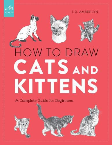 How to Draw Cats and Kittens: A Complete Guide for Beginners