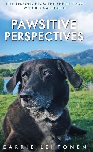 Cover image for Pawsitive Perspectives