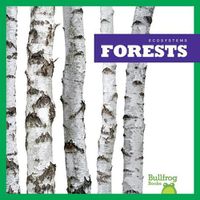 Cover image for Forests