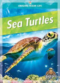 Cover image for Sea Turtles