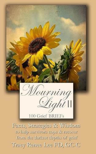 Cover image for Mourning Light II: 100 Grief Briefs