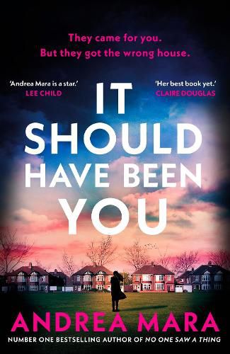 Cover image for It Should Have Been You
