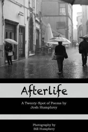 Cover image for Afterlife