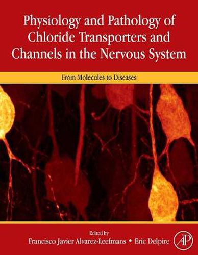 Cover image for Physiology and Pathology of Chloride Transporters and Channels in the Nervous System: From Molecules to Diseases