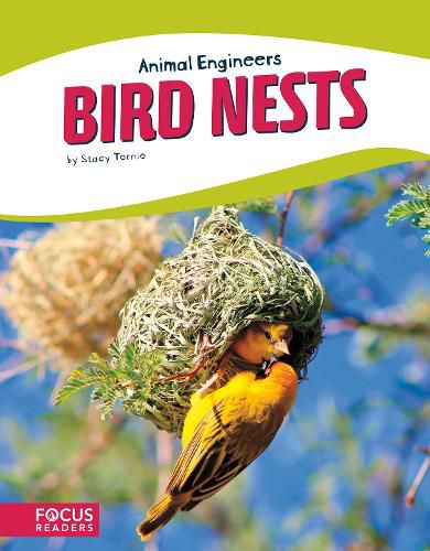 Animal Engineers: Bird Nests