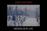 Cover image for Joe's Ontario