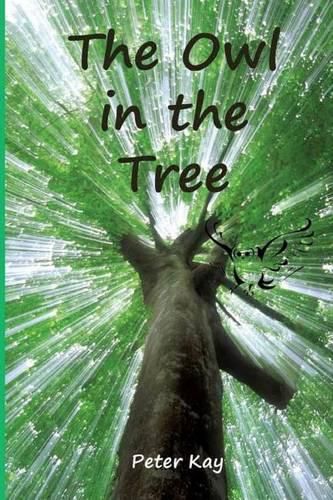 Cover image for The Owl in the Tree