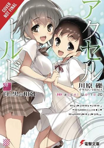 Accel World, Vol. 20 (light novel)