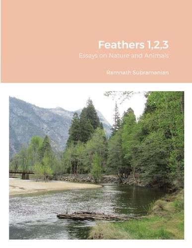 Cover image for Feathers 1,2,3