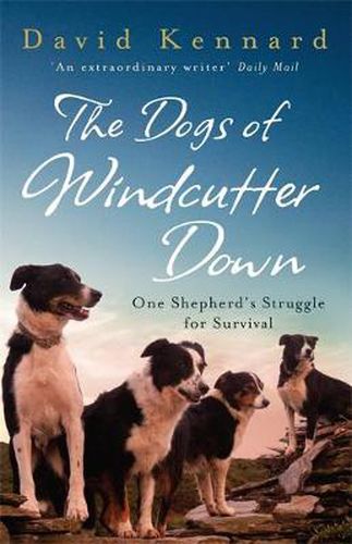 Cover image for The Dogs of Windcutter Down