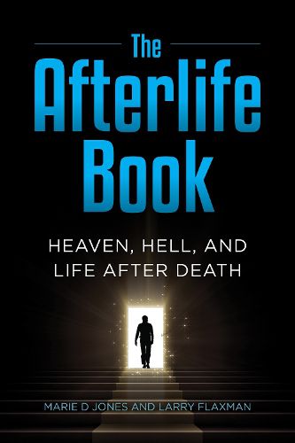 Cover image for The Afterlife Book