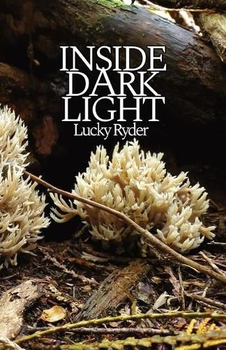 Cover image for Inside Dark Light