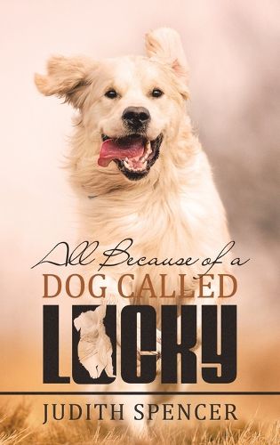 Cover image for All Because of a Dog Called Lucky