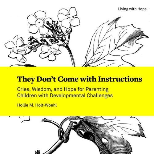 Cover image for They Don't Come with Instructions: Cries, Wisdom, and Hope for Parenting Children with Developmental Challenges