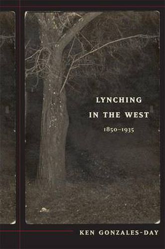 Cover image for Lynching in the West: 1850-1935