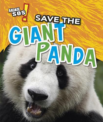 Cover image for Save the Giant Panda