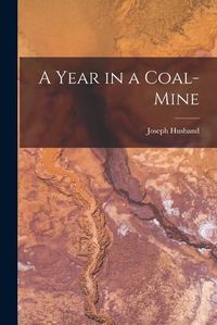 Cover image for A Year in a Coal-mine