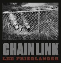 Cover image for Lee Friedlander: Chain Link