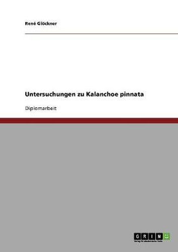 Cover image for Untersuchungen zu Kalanchoe pinnata
