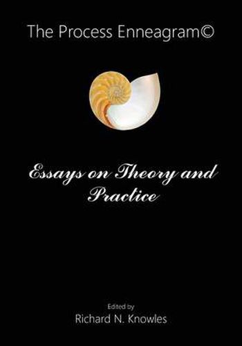 Cover image for The Process Enneagram(c): Essays on Theory and Practice