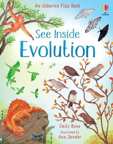 Cover image for See Inside Evolution