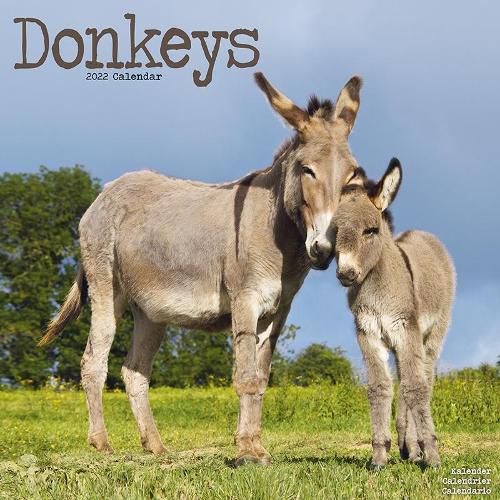 Cover image for Donkeys 2022 Wall Calendar