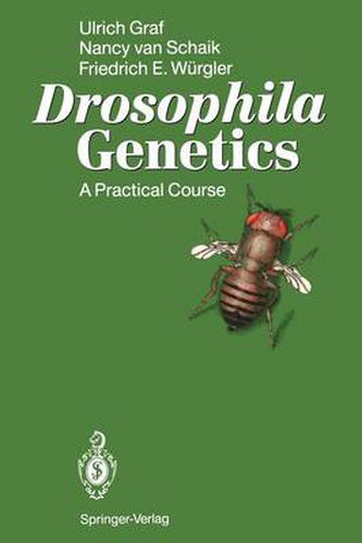 Cover image for Drosophila Genetics: A Practical Course