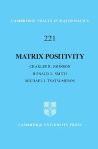 Cover image for Matrix Positivity
