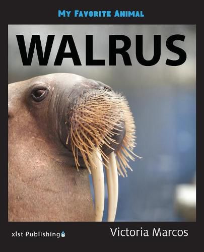 Cover image for My Favorite Animal: Walrus