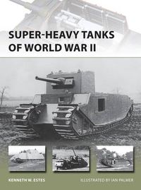 Cover image for Super-heavy Tanks of World War II