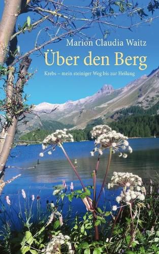 Cover image for UEber den Berg: Krebs - mein steiniger Weg bis zur Heilung